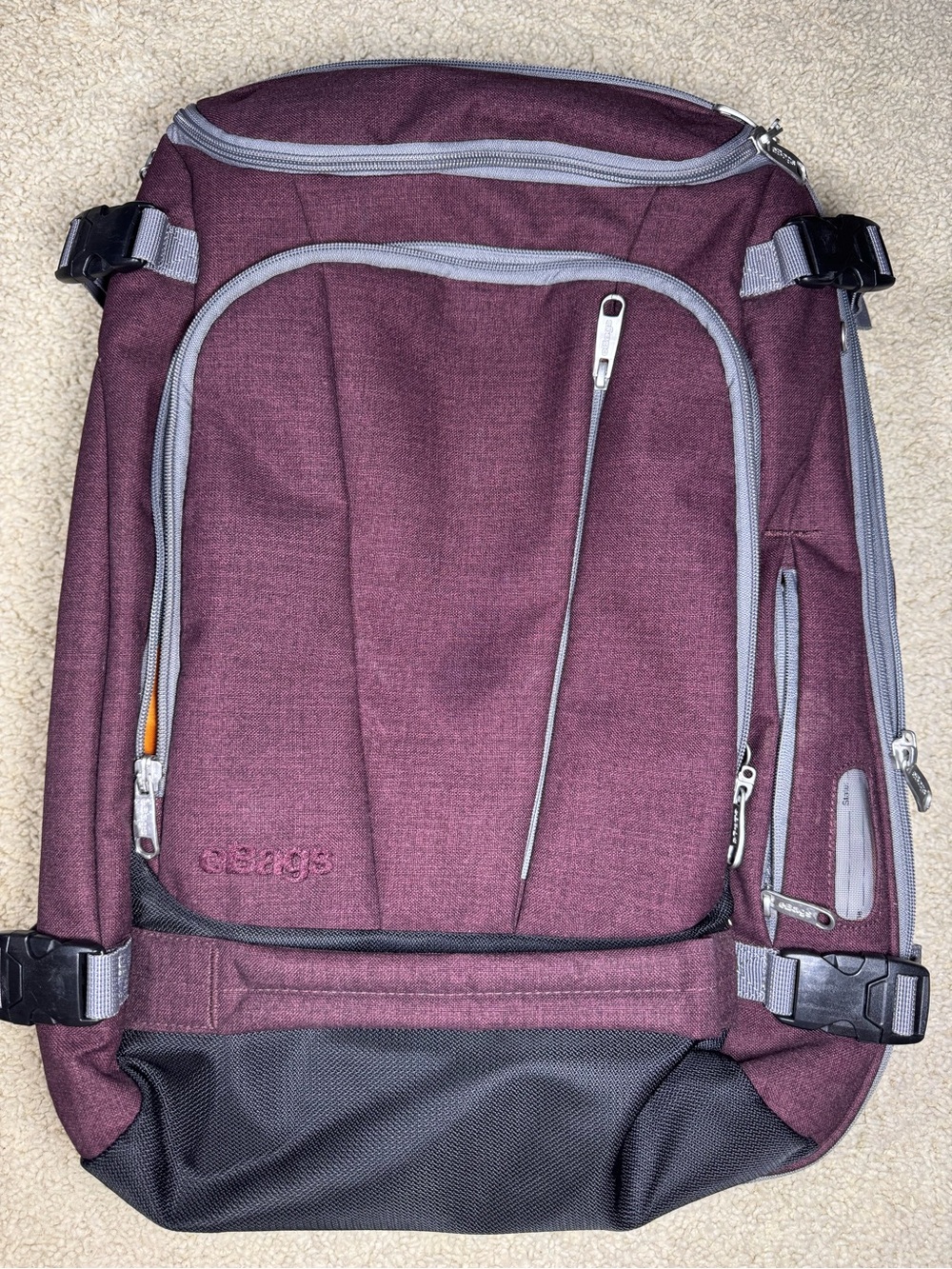 eBags Mother Lode Convertible Backpack Full Size, Expandable Travel Luggage